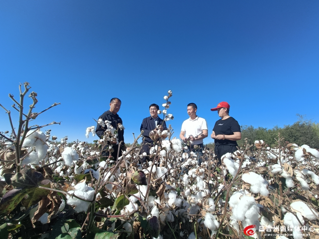 澎湃“園”動(dòng)力 沃野“攀高”行——昌吉國家農(nóng)高區(qū)高質(zhì)量發(fā)展紀(jì)實(shí)